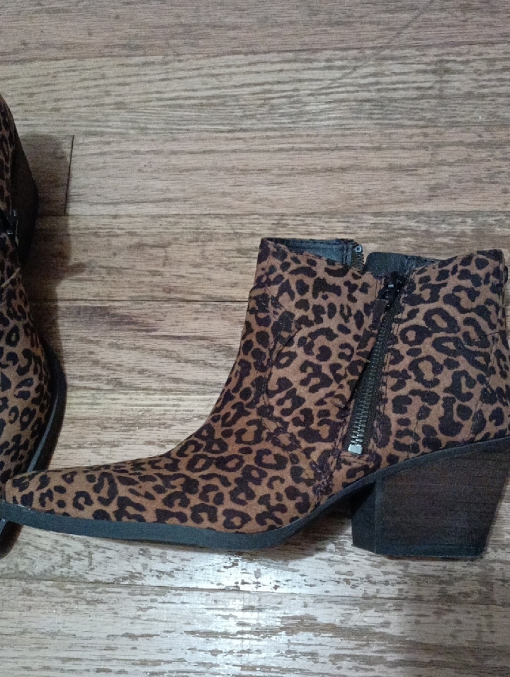 Circus by Sam Edelman Leopard-Print Brown & Black Ankle Boot